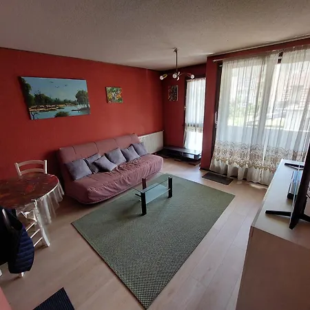 Ferienwohnung Le Fossie - Grand T2 - Basique Propre Et Fonctionnel Avec Parking Pau Exterior foto